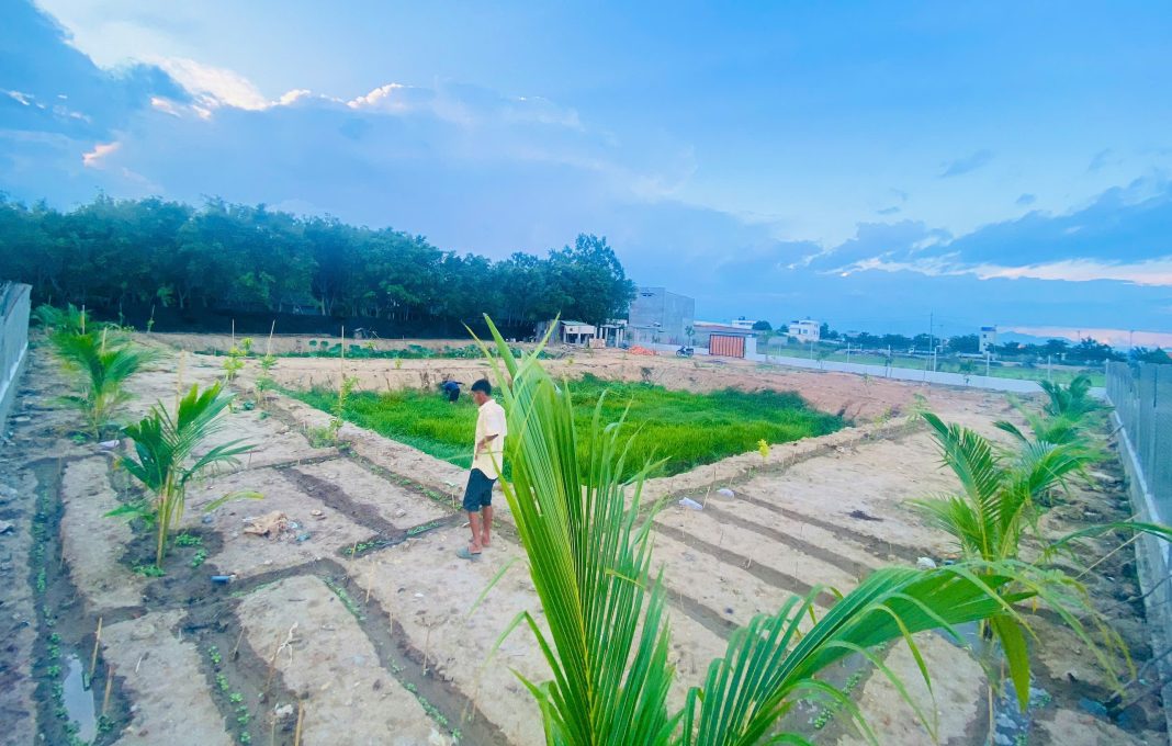 Đất Mương Nhật